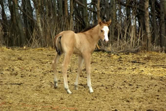 Photo de profil de popo83320