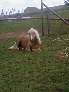 Photo de profil de sandy02300