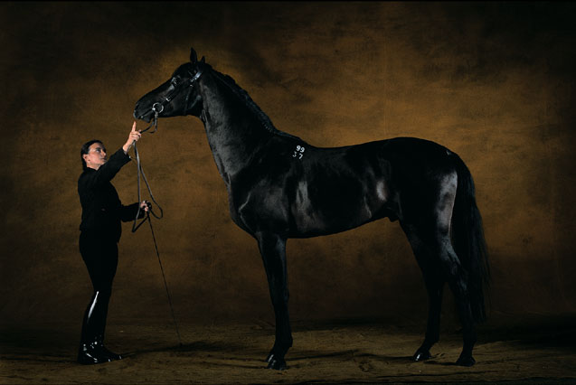 Photo de profil de soso57980