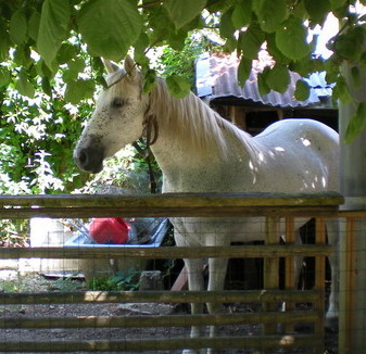 Photo de profil de tenand