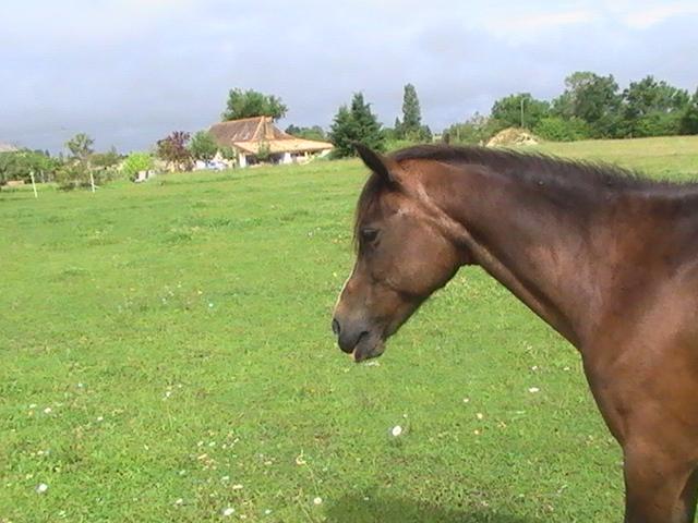 Photo de profil de yves24