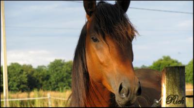 Photo de profil de ana73