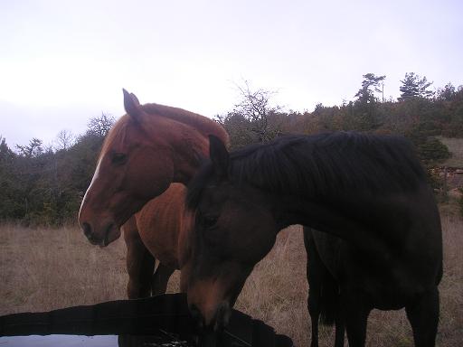 Photo de profil de anlor