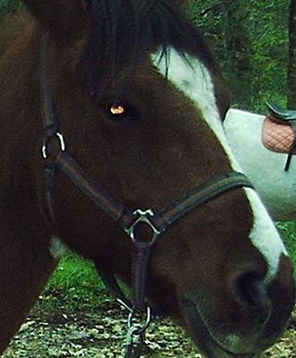 Photo de profil de audrey123