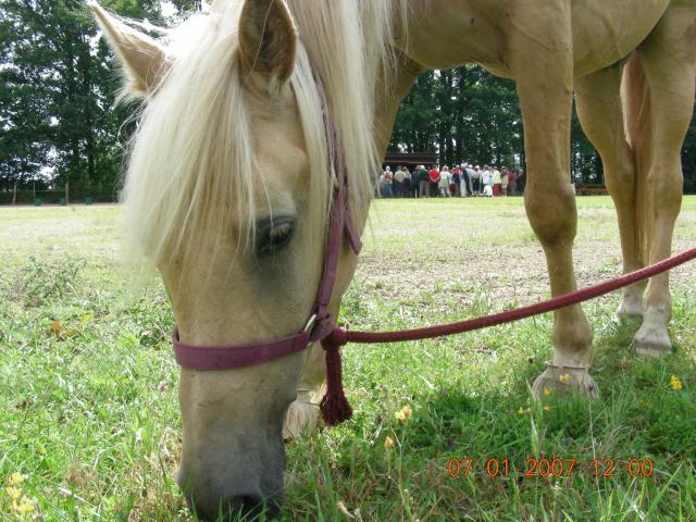 Photo de profil de bourike