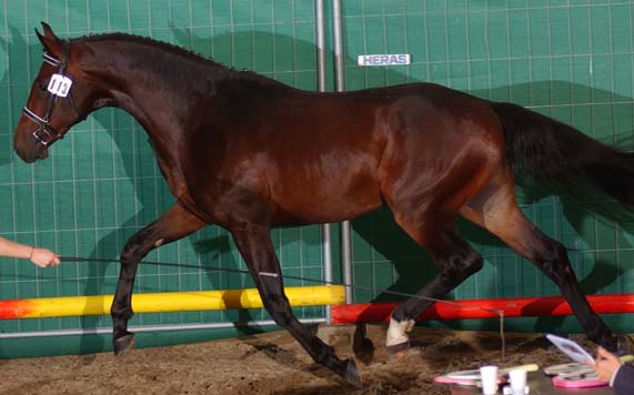 Photo de profil de carolinem