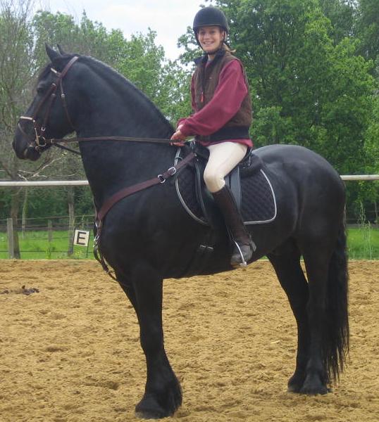 Photo de profil de chouetdjoo