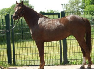 Photo de profil de dav01