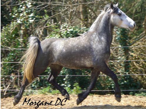 Photo de profil de douka