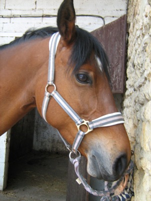 Photo de profil de gabrielle79