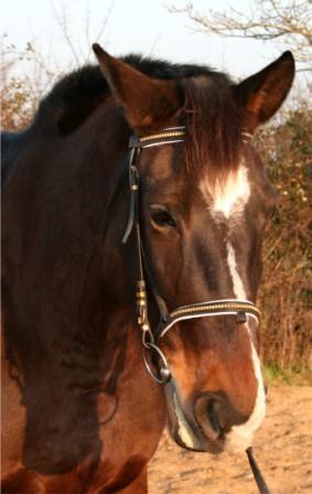 Photo de profil de gpat