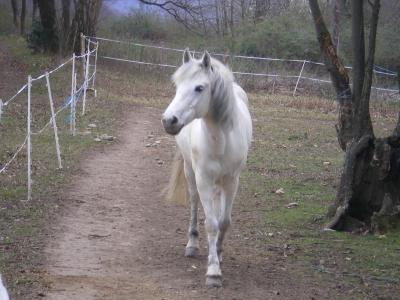 Photo de profil de harpe