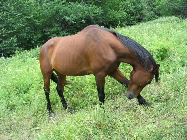 Photo de profil de hirondelledupre