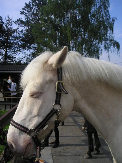 Photo de profil de hydradu59