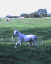 Photo de profil de j-liana