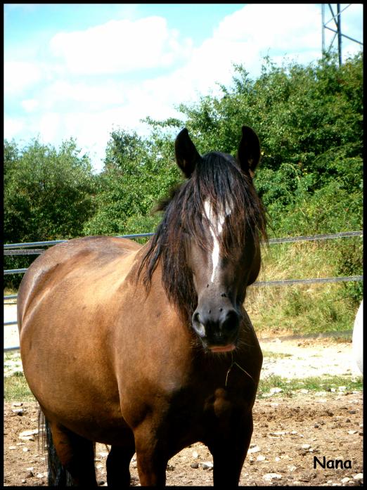 Photo de profil de jonathan21