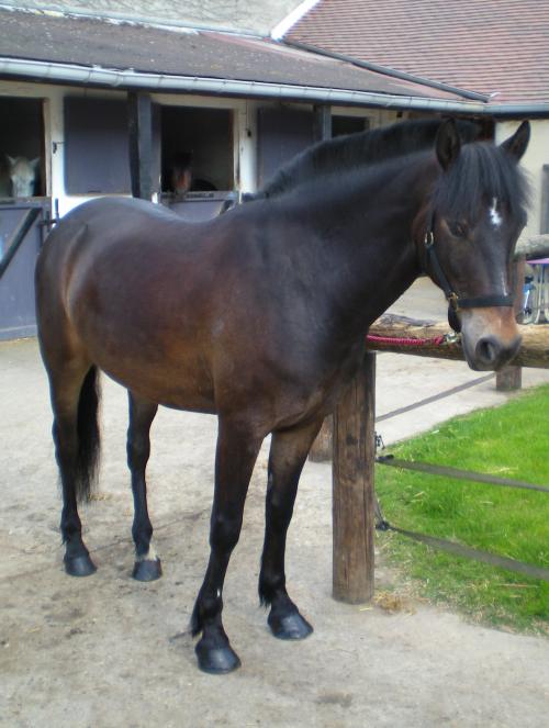 Photo de profil de kawatte