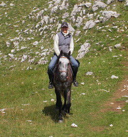 Photo de profil de laluz