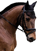 Photo de profil de lesclermonts01