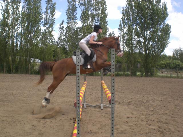 Photo de profil de lili-horse