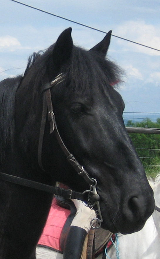 Photo de profil de lilougaga