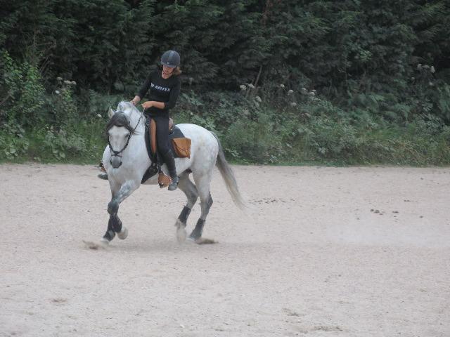 Photo de profil de louiselhermitte