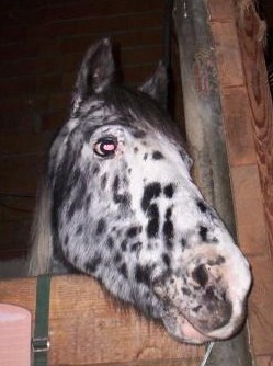 Photo de profil de luciie