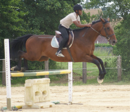 Photo de profil de ludo72