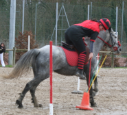 Photo de profil de lureu