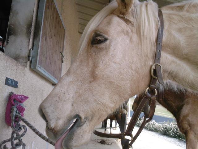 Photo de profil de ma-ddy