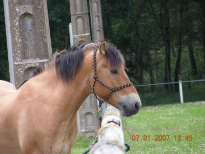 Photo de profil de maepoi