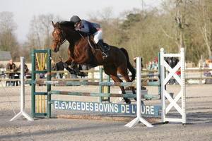 Photo de profil de mamath