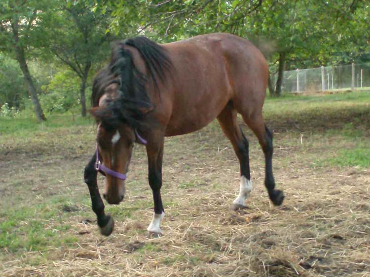 Photo de profil de manoucheka