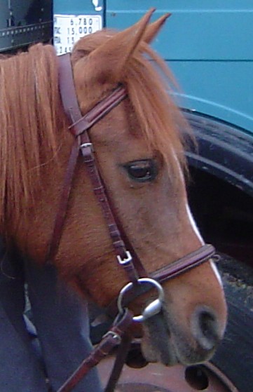 Photo de profil de mara-jtm