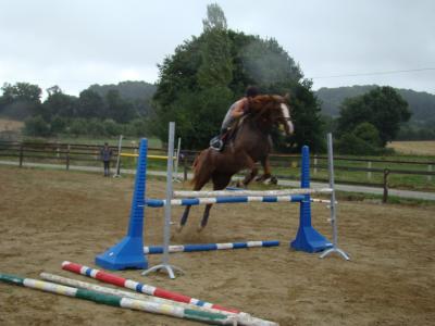 Photo de profil de maverick61