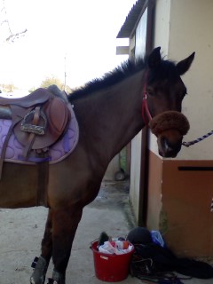 Photo de profil de megalia