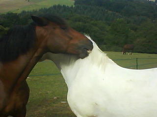 Photo de profil de momyz
