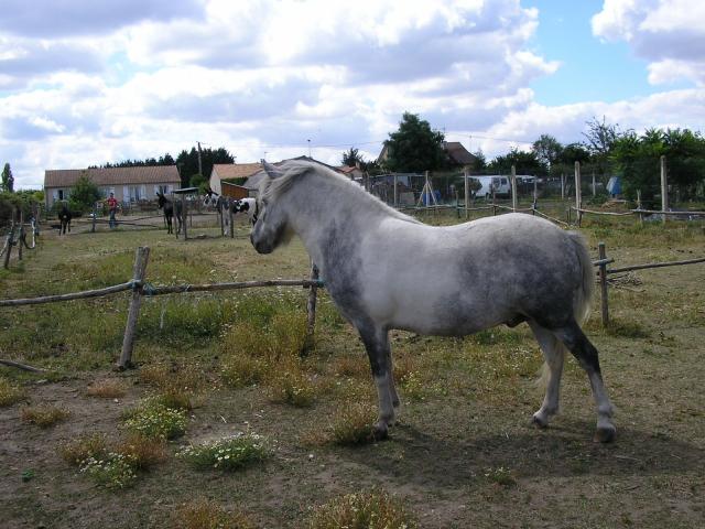 Photo de profil de nemo86