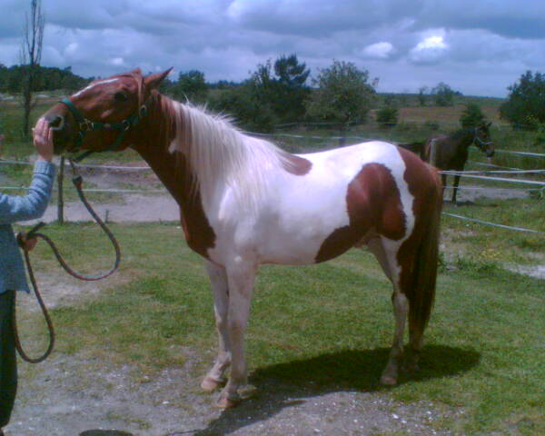 Photo de profil de ordasie