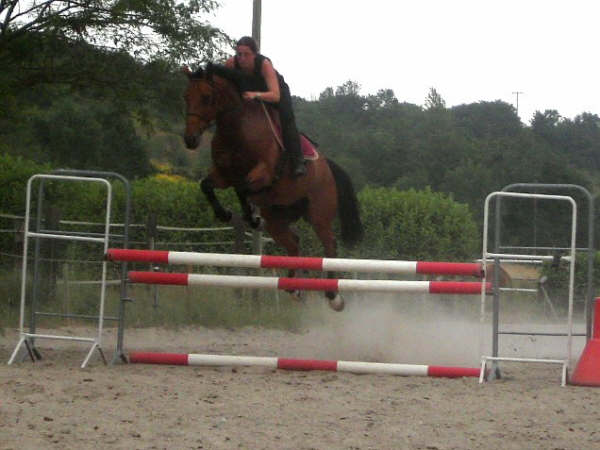 Photo de profil de pineou