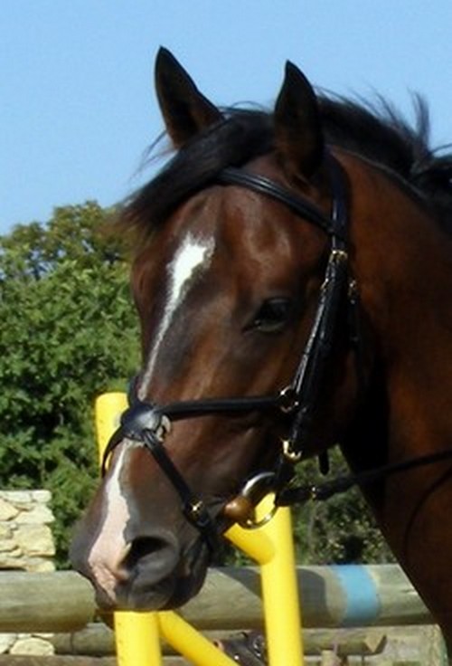 Photo de profil de quaolin