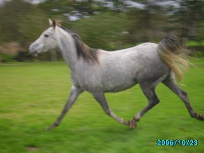 Photo de profil de rtt