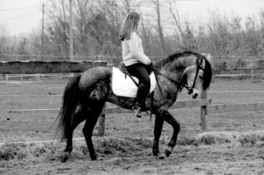 Photo de profil de sdessart2000