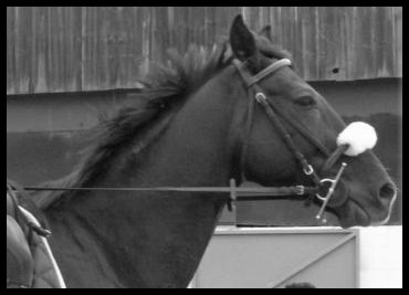 Photo de profil de sophie.d