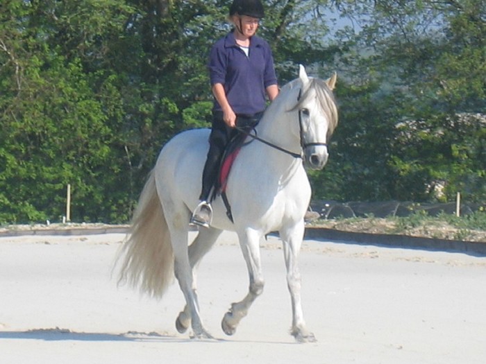 Photo de profil de tejon46