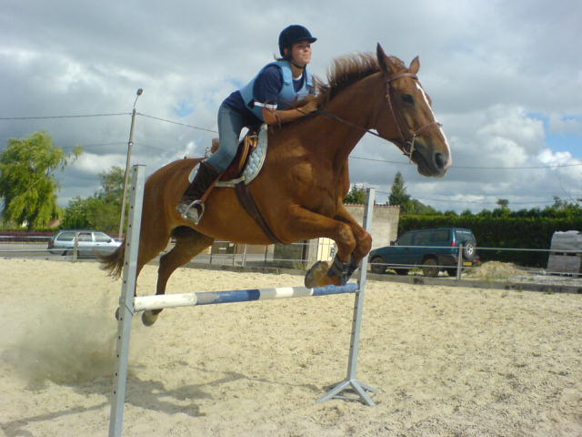 Photo de profil de thebeverly