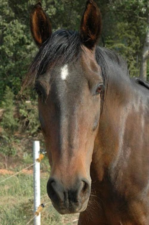 Photo de profil de titivick