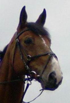 Photo de profil de uxane59