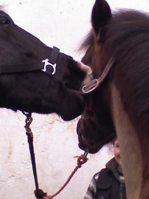 Photo de profil de x-psy-chiiic