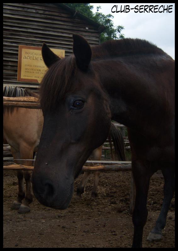 Photo de profil de zereunionez